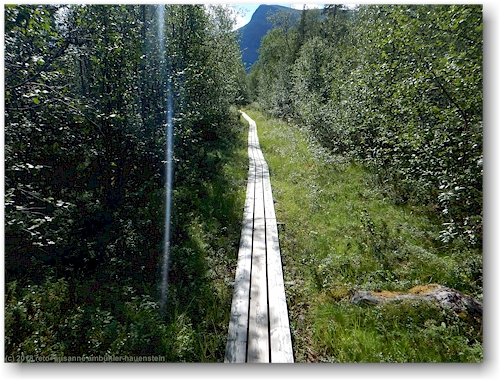 uferweg entlang des laitaure bei der aktsestuga