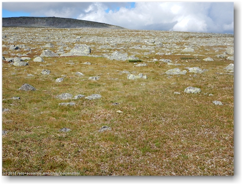 kungsleden am fuss des taresaive