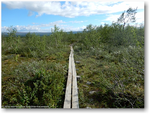 steg im velauf des kungsleden bei svine