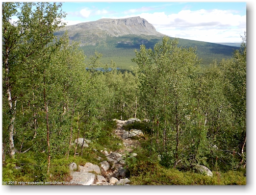 blick vom kungsleden bei partekietje auf den tjakkeli