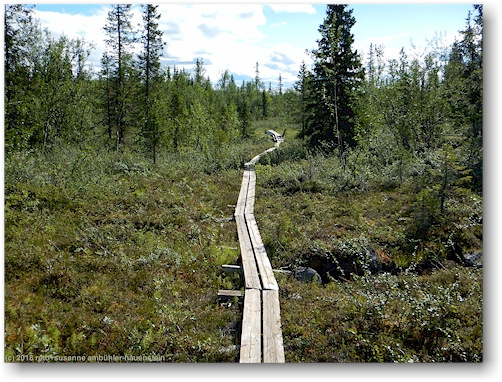 wandersteg im verlauf des kungsleden bei partekietje