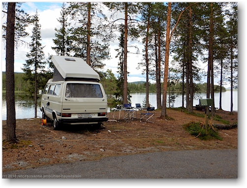 unser joker auf dem camping arrenjarka