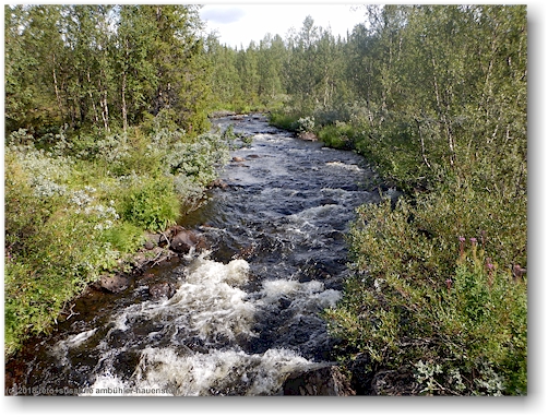 blick von der bruecke auf den njakajakka - flussaufwaerts