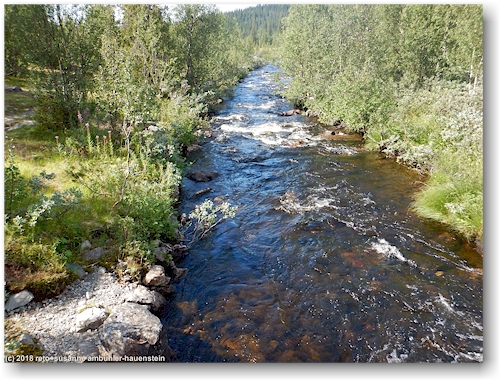 blick von der bruecke auf den njakajakka - flussabwaerts