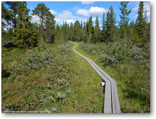 steg im verlauf des kungsleden kurz vor kvikkjokk