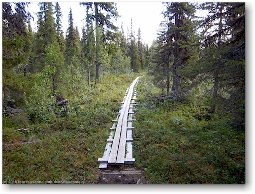 steg im verlauf des kungsleden bei parte