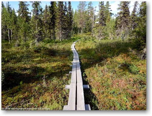 steg im verlauf des kungsleden bei parte