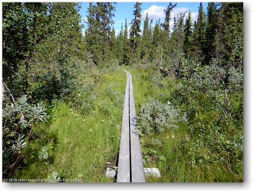 steg im verlauf des kungsleden bei tingstallstenen