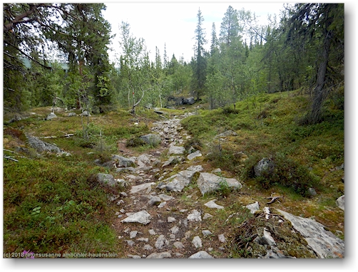 kungsleden am fuss des varekietje