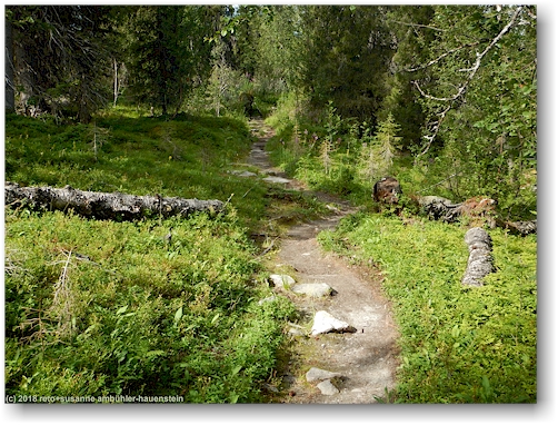 kungsleden am fuss des varekietje