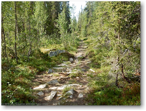 holpriger kungsleden am fuss des varekietje