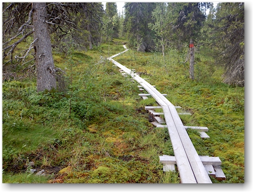 steg im verlauf des kungsleden am fuss des varekietje