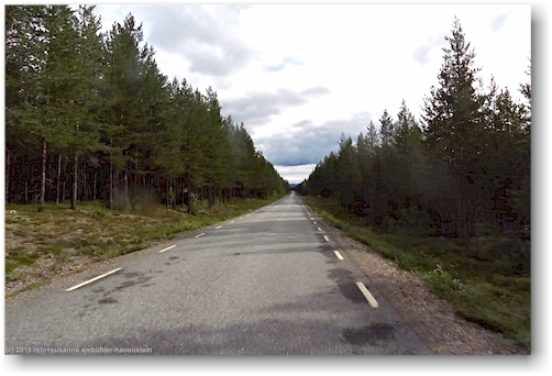 unterwegs auf der strasse 805 von kvikkjokk zur E45 noerdlich von jokkmokk