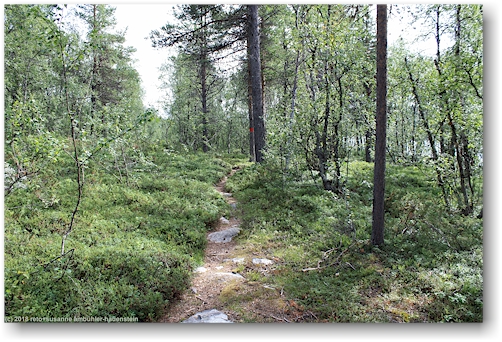 kungsleden entlang des iraft bei adolfsstroem