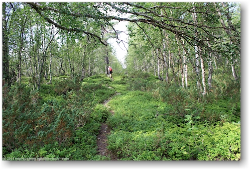 kungsleden entlang des iraft bei adolfsstroem