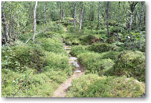 kungsleden am nordende des iraft