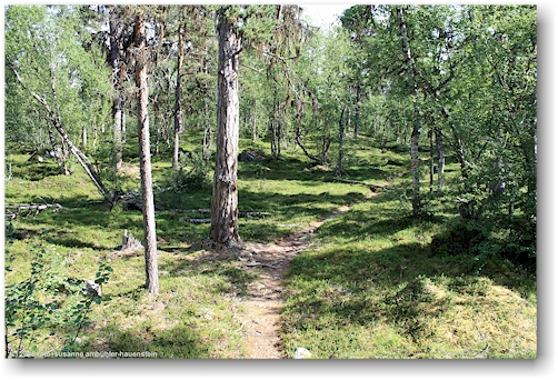 kungsleden am westlichen ende des iraft