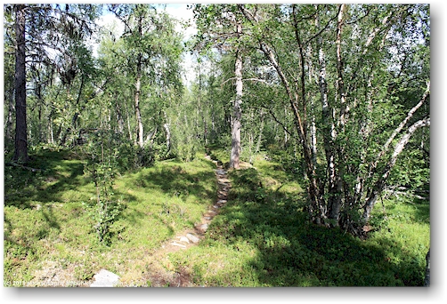 kungsleden kurz vor baeverholmen