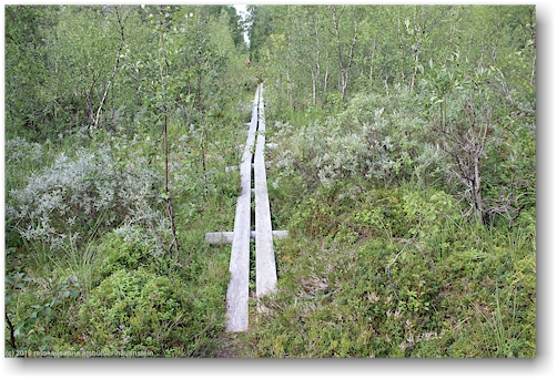 steg im verlauf des kungsleden entlang des iraft bei adolfsstroem