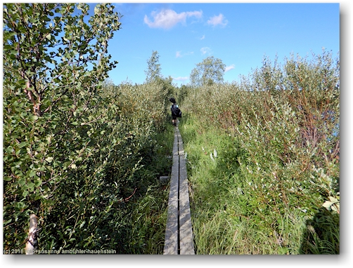 steg im verlauf des uferweges entlang des laislven