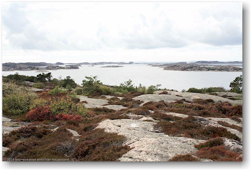 blick auf den fjord von der anhoehe auf der halbinsel veddoe