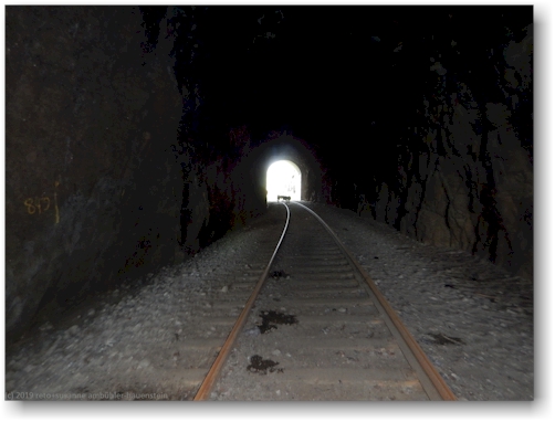 rentiere im tunnel westlich von vitvattnet