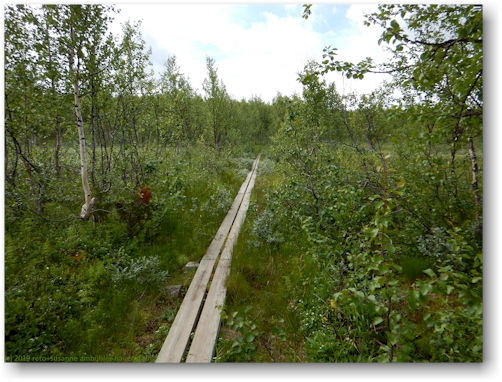 steg im verlauf des kungsleden oberhalb jaekkvik
