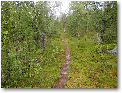 kungsleden suedlich des pieljekaise nationalpark