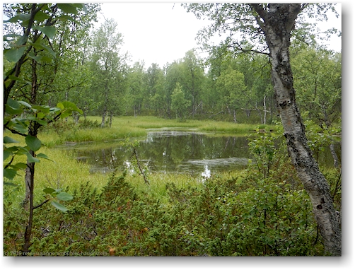 teich am kungsleden suedlich des pieljekaise nationalpark