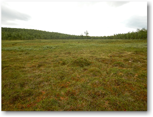 hochebene am kungsleden westlich des baktek