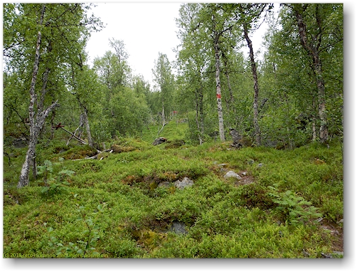 aufstieg im verlauf des kungsleden
