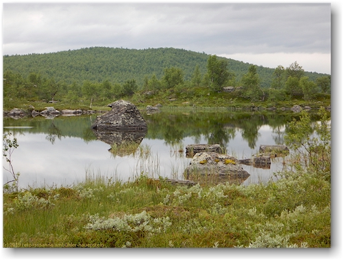 spiegelung im lutaure im pieljekaise nationalpark
