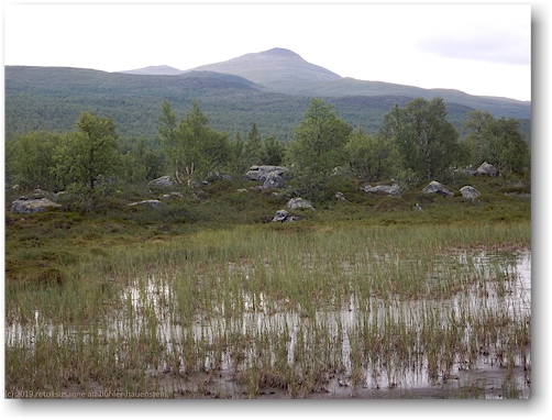 sumpfgebiet am kungsleden mit pieljekaise im hintergrund