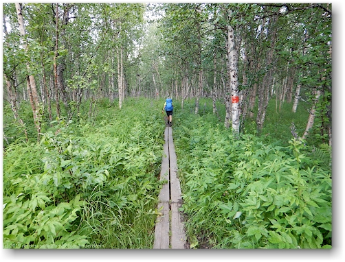 steg im verlauf des kungsleden bei jaekkvik