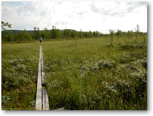steg im verlauf des kungsleden