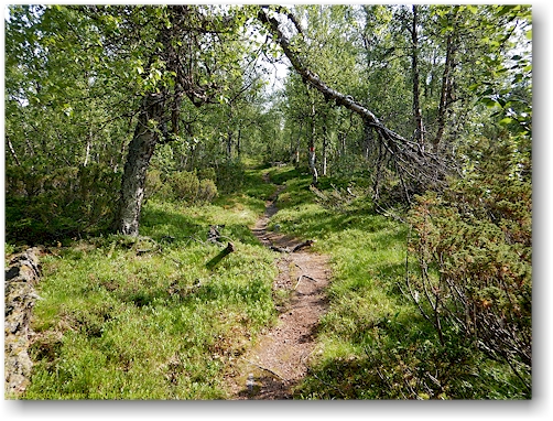 aufstieg im verlauf des kungsleden ueber adolfstroem