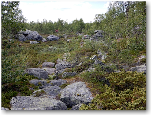 felsiger aufstieg im pieljekaise nationalpark