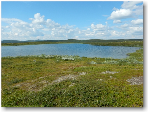 kleiner see auf der hochebene im pieljekaise nationalpark