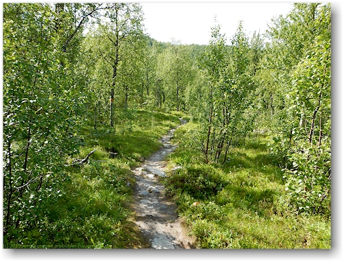 kungsleden richtung aigertstugan