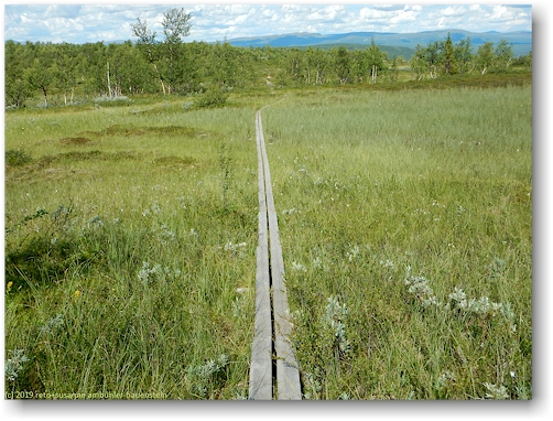steg im verlauf des kungsleden auf der hochebene richtung aigertstugan