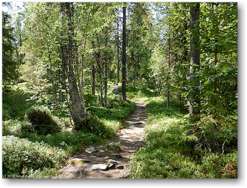 kungsleden bei ammarnaes