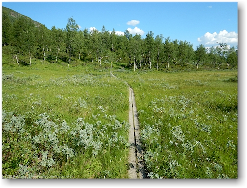 steg im verlauf des kungsleden richtung servestugan