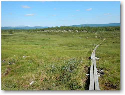 steg im verlauf des kungsleden richtung stokkeklippen