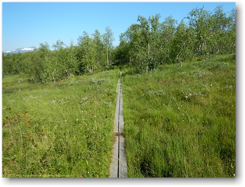 steg im verlauf des kungsleden entlang des taernasjoe