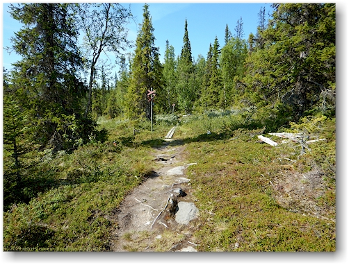 wanderweg bei fatmomakke richtung marsfjaell