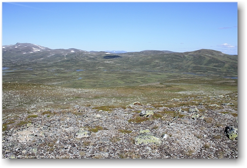 ausblick vom gipfel des stuore duoranajje richtung norden