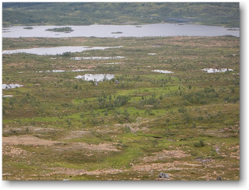blick vom roedfjaell auf die roedfjaellstugan und den ullersjoen