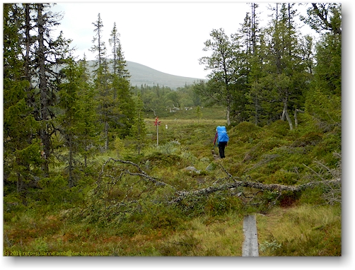 wanderweg in dern naehe der finnangeltjaernarna