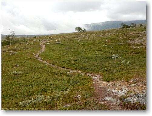 wanderweg ueber die hochebene am fuss des stor-groengumpen