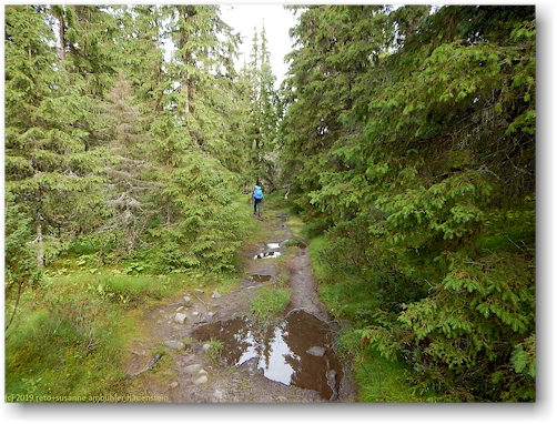 vom regen gezeichneter wanderweg